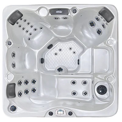 Costa-X EC-740LX hot tubs for sale in Brooklyn Park