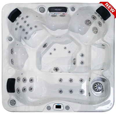 Costa-X EC-749LX hot tubs for sale in Brooklyn Park