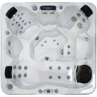Avalon EC-849L hot tubs for sale in Brooklyn Park