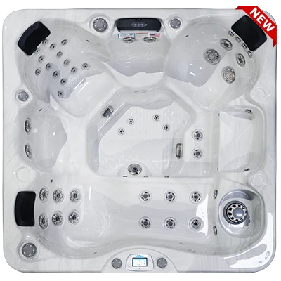 Avalon-X EC-849LX hot tubs for sale in Brooklyn Park