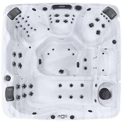 Avalon EC-867L hot tubs for sale in Brooklyn Park